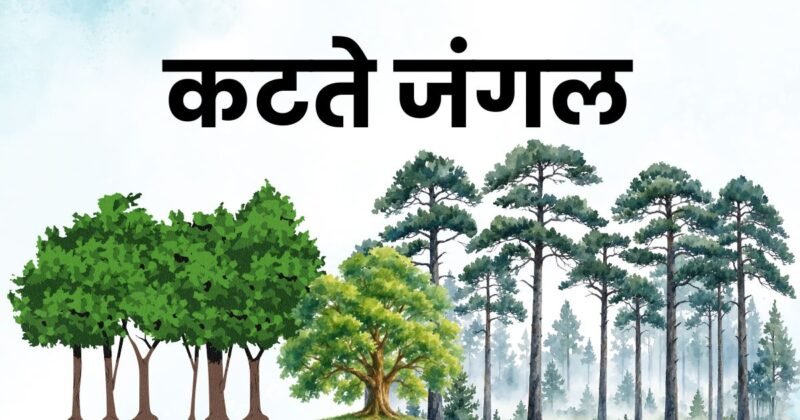 कटते जंगल cutting down forests कटते जंगल और हमारा विनाश