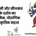 विजय दशमी और नीलकंठ पक्षी के दर्शन का आध्यात्मिक, पौराणिक और सांस्कृतिक महत्व